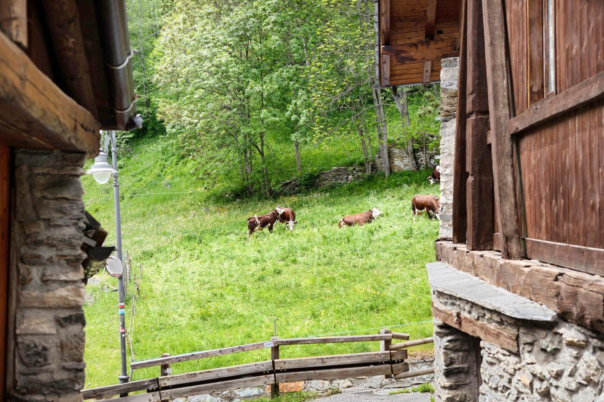 Appartamento Aux Pieds Du Malatra' 1 Saint-Rhemy-En-Bosses Esterno foto