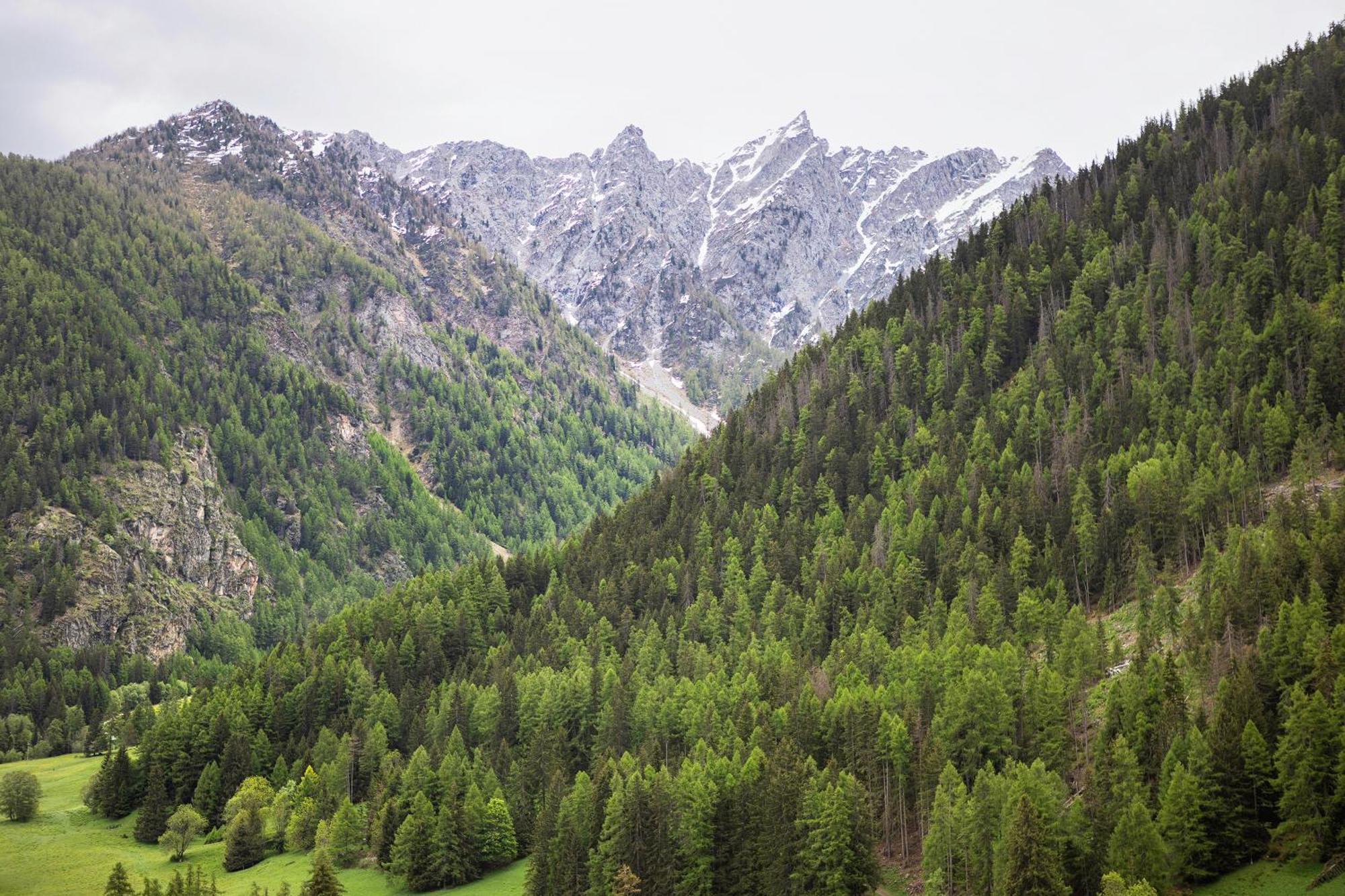 Appartamento Aux Pieds Du Malatra' 1 Saint-Rhemy-En-Bosses Esterno foto
