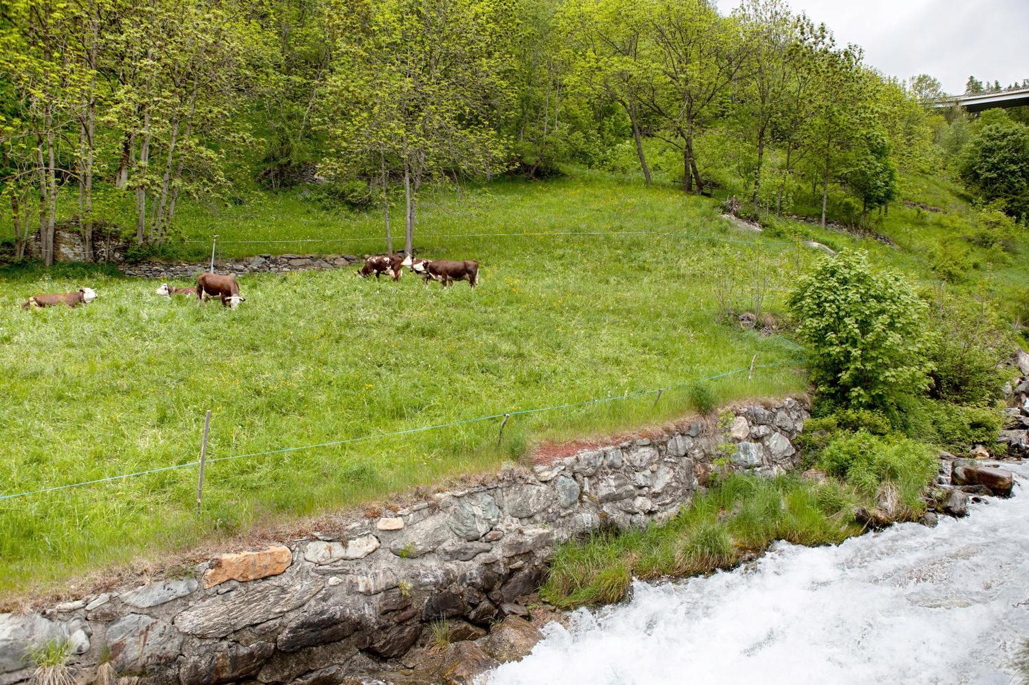 Appartamento Aux Pieds Du Malatra' 1 Saint-Rhemy-En-Bosses Esterno foto
